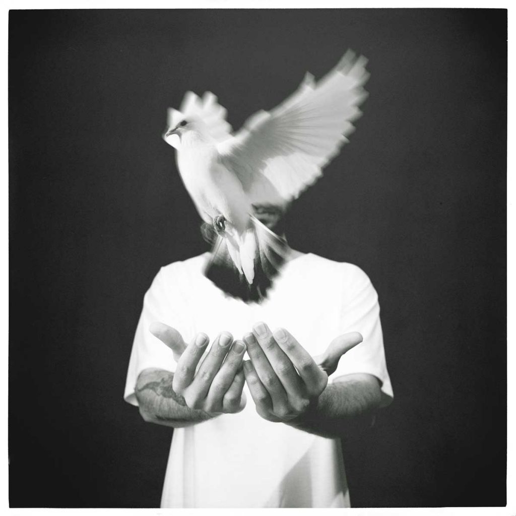 Danny - "Bird Set Free"/"Pájaro Liberado"
