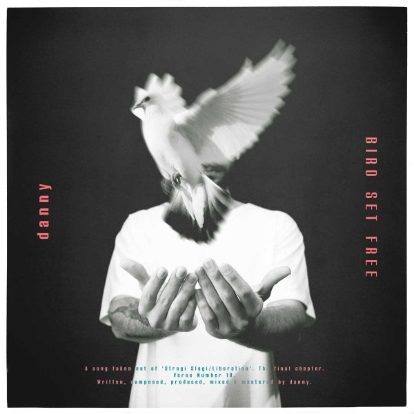 Danny's "Bird Set Free" cover