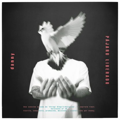 Portada del nuevo single e Danny, "Pájaro Liberado"
